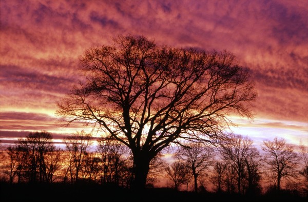 Foto einer Morgendämmerung