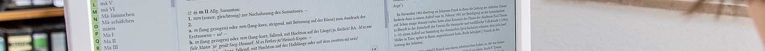 Arbeit mit dem Wörterbuchnetz